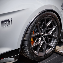 Mach 1 Front Wheel Lip Mouldings